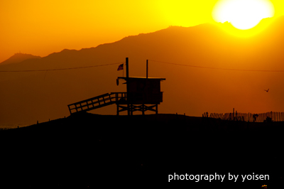 SOCAL2010_8104