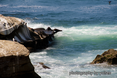 SOCAL2010_8159